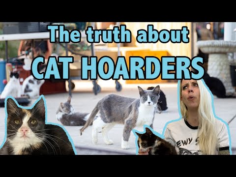 The Truth About Cat Hoarders