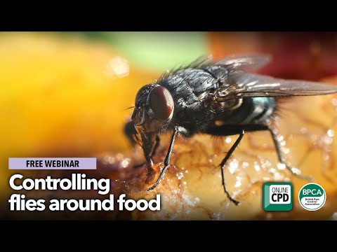 Controlling flies around food