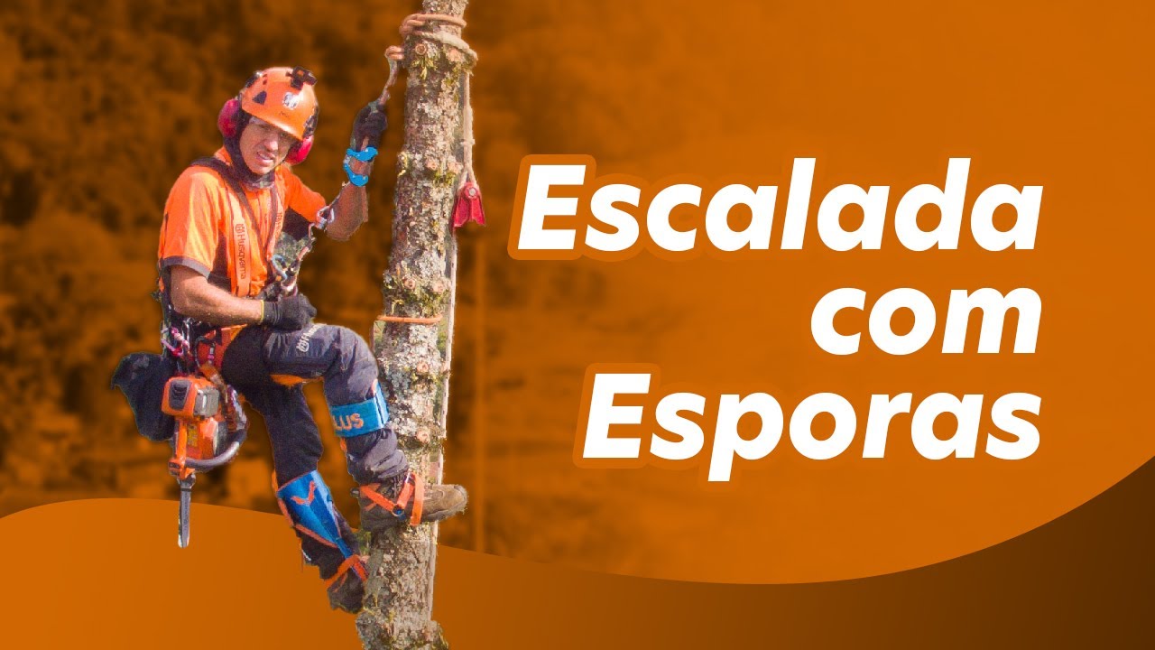 TUTORIAL - Aprenda a Usar Esporas