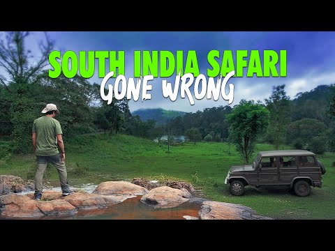 My First Safari in South India Took an Unexpected Turn…
