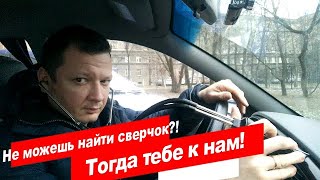 Где найти и поймать сверчков в новосибирске