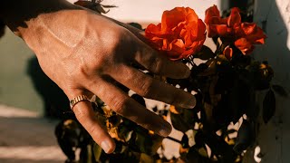 Cuñados Invisibles - superamor feat. Fran Aguilar & Blanca Soler (Videoclip Oficial)