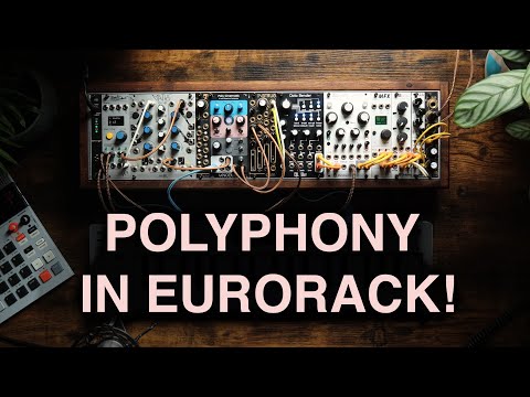 Knobula Poly Cinematic 8-Voice Polyphonic Synthesizer Eurorack Module 2022 - Present - Black image 2