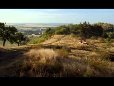 Bohemia Chips: Paprika