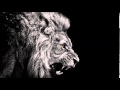 Skrillex - Stranger remix Tomorrowland 2014 