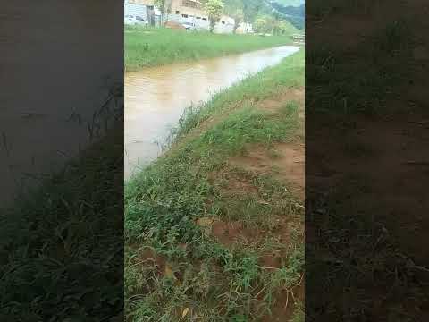 pedra dourada MG