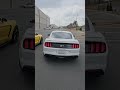 Mustang 5 0 Gegen Shelby GT350