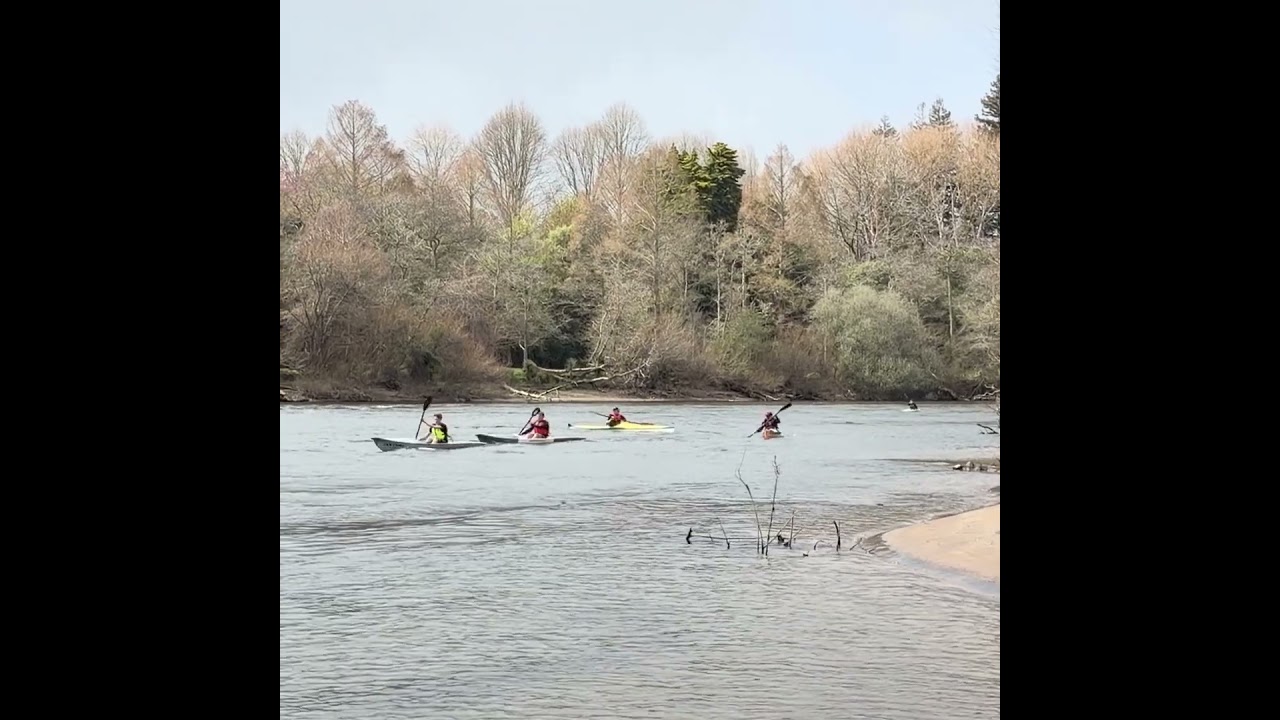 Cambridge to Hamilton paddle race #riverrace #multisport #surfski #riverkayaking