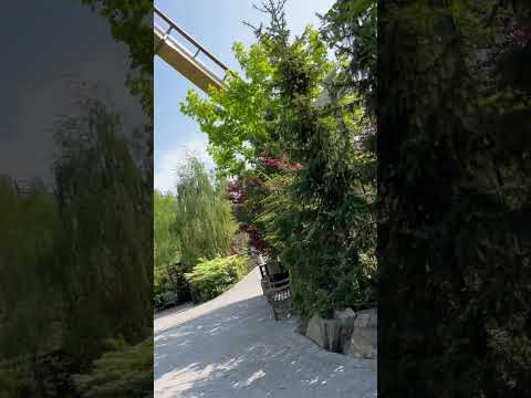 VALKYRIA SHORT #themeparkenthusiast #themepark #travel #valkyria #liseberg