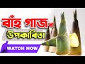 বাঁহ গাজৰ উপকাৰিতা benefits of bamboo shoot