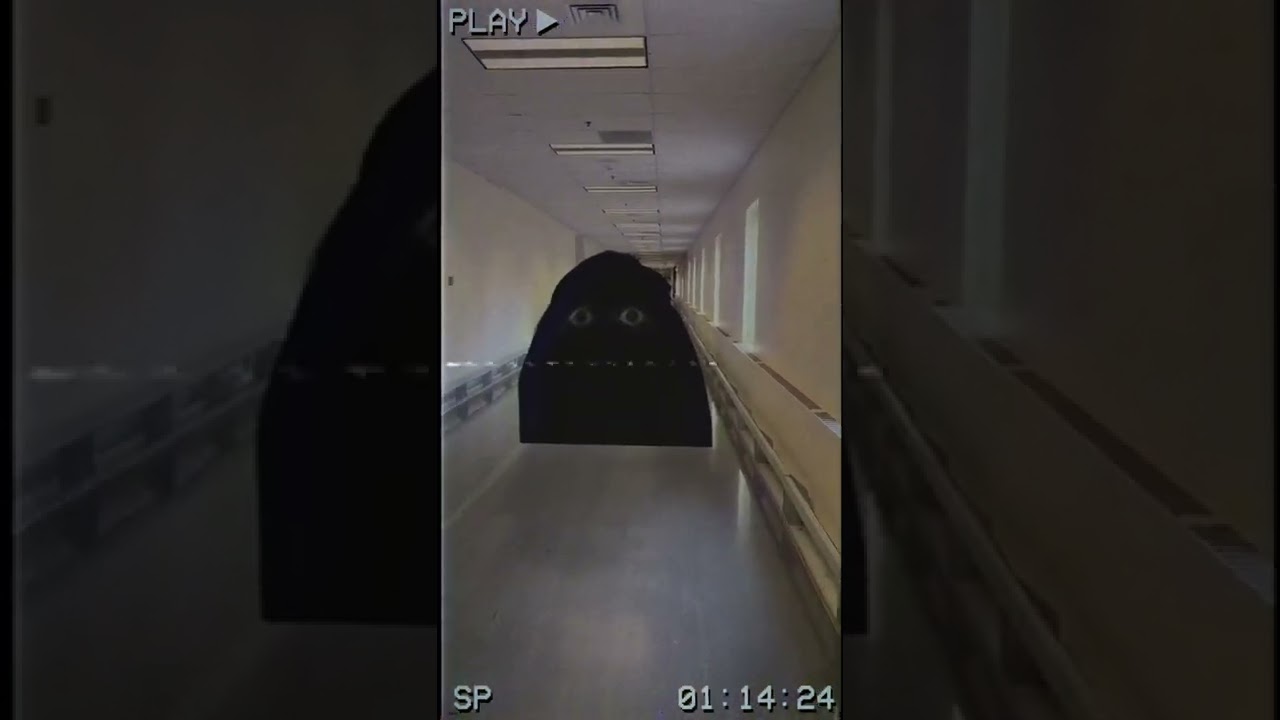 ANGRY MUNCI IN REAL LIFE IS PURE HORROR (Nextbot Chase)