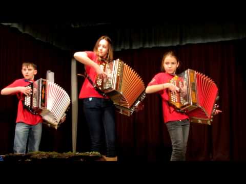 VESELI RIBNČAN-koncert orkestra harmonikarjev CiS