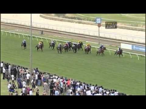 2010 Carlton Draught Railway Stakes