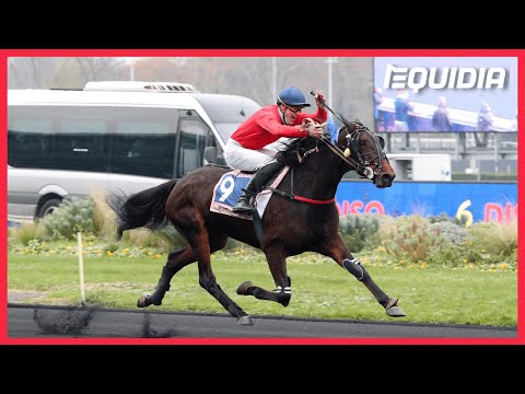 IDEALE DU CHÊNE AVANCE AVEC DES AMBITIONS DANS LE PRIX DES CENTAURES