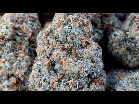 KANDYPENS - K-Vape Pro Evaluation/Review! Let's Puff! Cheers!