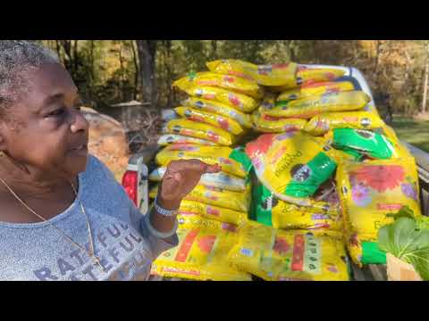 #harvesting#grow#grow#growtents#like#subscibe#BigHaul of potting mix