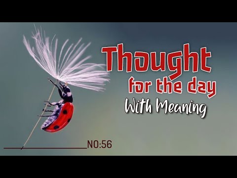 Thought for the Day with Meaning in English | Daily Thoughts | Thought of the Day | Daily Quotes
