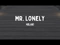 Mr Lonely Midland Lyrics Country Hits