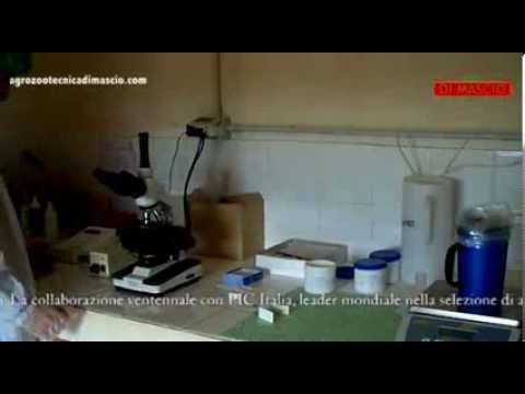Prendendo macchine succo prostata Israele cura per la prostatite