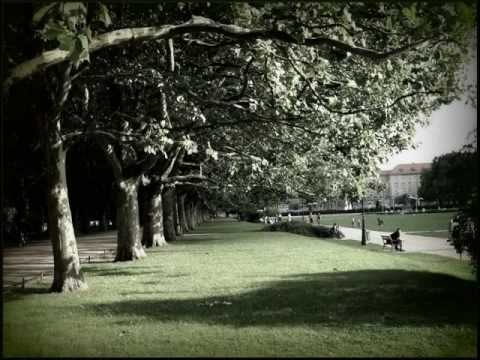 Armalski i Żelson - Dzisiaj nie