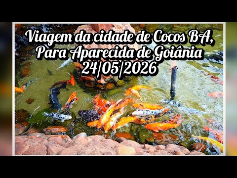 Viagem da cidade de Cocos Bahia para Aparecida de Goiânia - IPFD - 24/05/2026