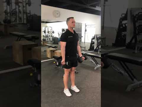 Mint Gym + Nutrition video.