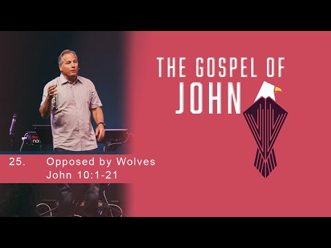 Opposed By Wolves - John 10:1-21