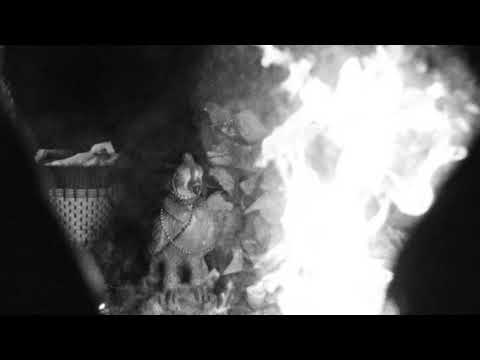 Lütt Matten - Blauauge