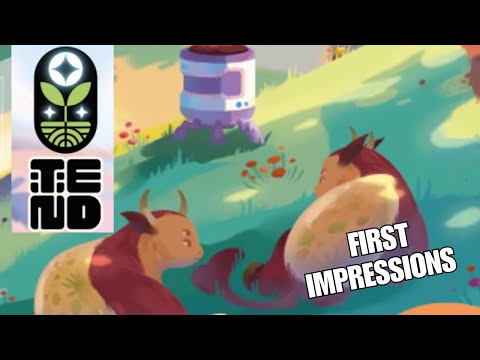 Tend First Impressions