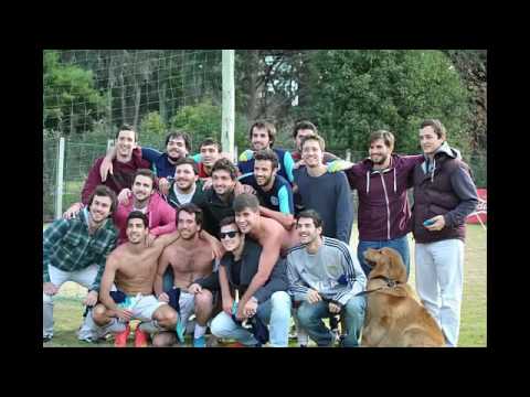 Video  Motivacional Callate vs quiricocho