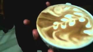 Rosetta by nicko barista