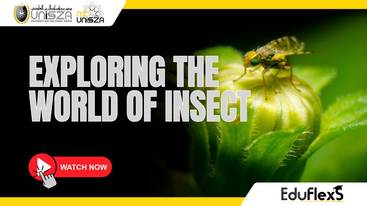 Exploring the World of Insects | EduFlexS UniSZA