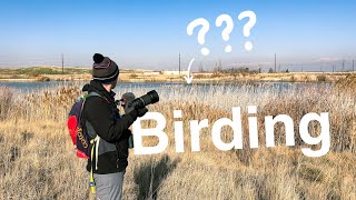 Going Birding on NEW YEARS DAY