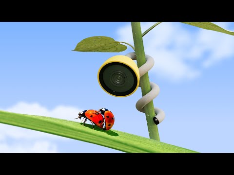 A Kickstarter Project We Love: Wonder Blocks | Smart Pollinator Observatory