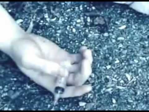 Zuriko Kokliani (white negga) - Narkomani ( DeMo ) - YouTube.mp4