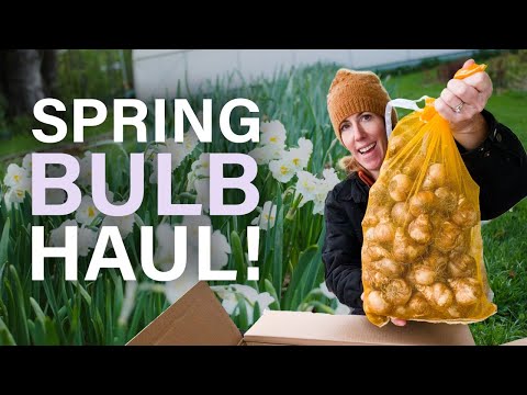 Thousands of Spring Bulbs Arrived! Unboxing My Flower Farm Order (Tulips, Daffodils + More)