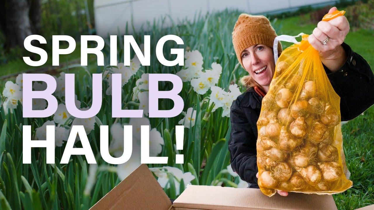 Thousands of Spring Bulbs Arrived! Unboxing My Flower Farm Order (Tulips, Daffodils + More)