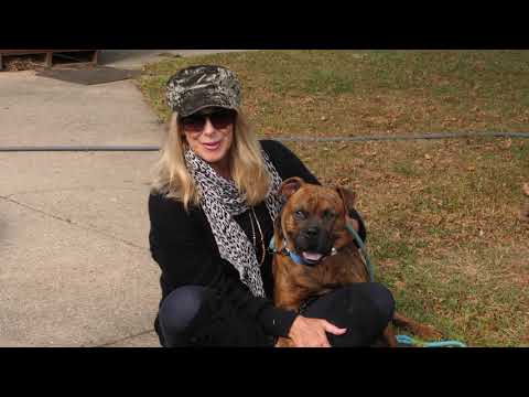 Greg & Joni's Adopt-ober | IndyHumane | 104.5 WJJK