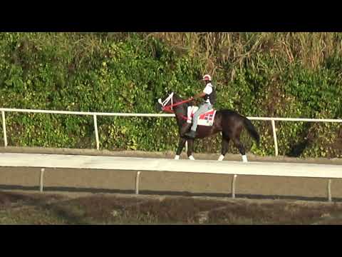 CADETE (Rep. Dom) - Copa Confraternidad