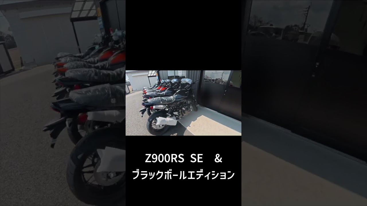 後悔したくない。75歳、人生最後の大型バイク選び。