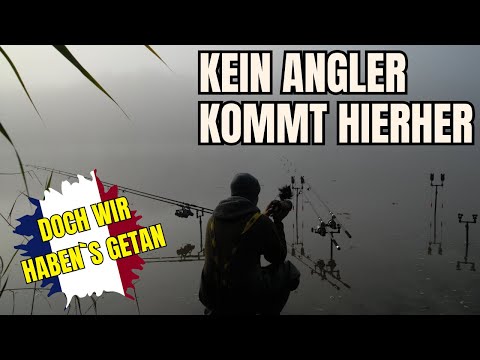French Carping 🇫🇷 Teil 1 – Herbstjagd auf Monsterkarpfen im geheimen Waldsee!😱