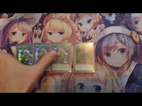 Yu-gi-oh 1st place madolche deck profile 2026