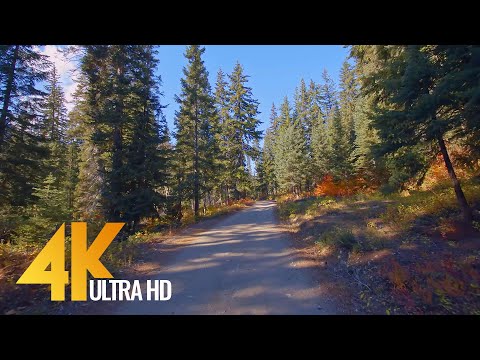 Scenic Drive 4K 60fps - Chiwawa River Road, Leavenworth, Washington State. Part 2