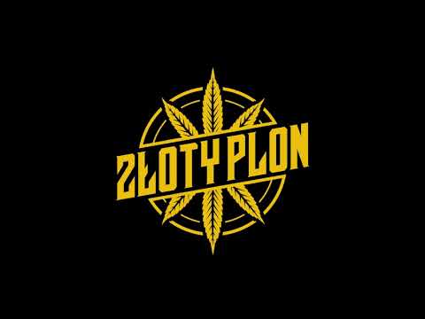 Złoty Plon x Jankes INS "LOT"