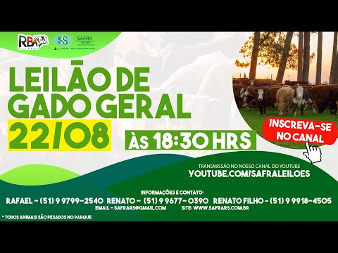 LEILÃO DE GADO GERAL (22/08) - SAFRA LEILÕES / PASSO DO SOBRADO-RS