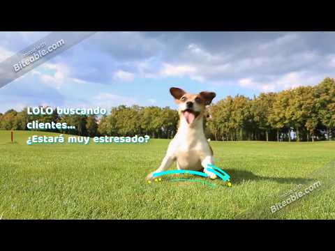 download lagu mp3 mp4 Lolo Marketing, download lagu Lolo Marketing gratis, unduh video klip Lolo Marketing