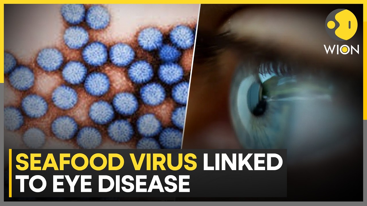 Virus From Aquatic Animals Can Infect Human Eyes, Says Study | WION