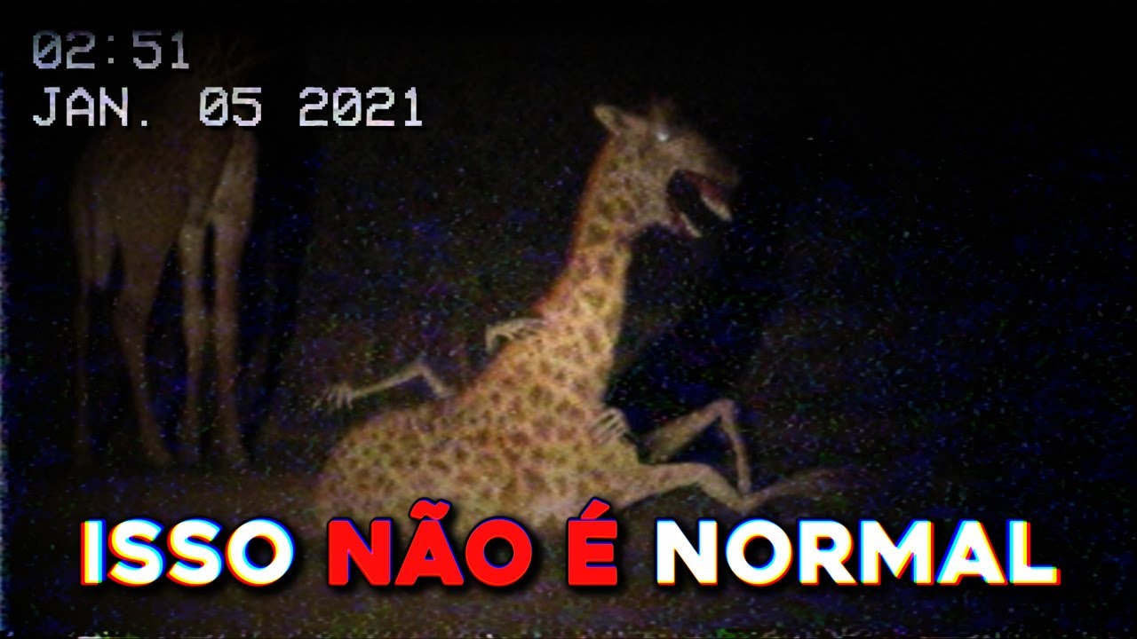 Tem Algo de Errado com esses Animais...