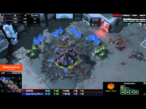 Snute vs DIMAGA - ZvZ