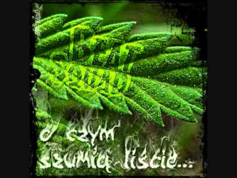 Beat Squad - Zrób to głośniej ft. WSRH, Kaczor